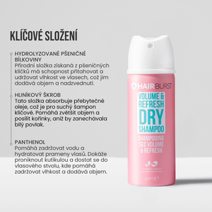 Mini Suchý šampon Volume & Refresh